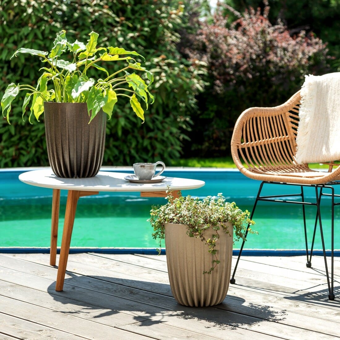 Mira eco coffee - Imagen 2